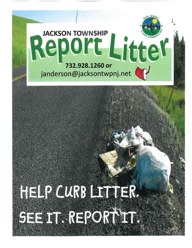 Report Litter Flyer