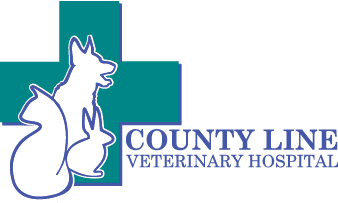 countyline vet